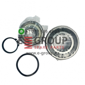 Комплект подшипников Grundfos 96690704